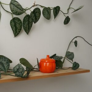 AUTUMN SPICE - obrazek 5