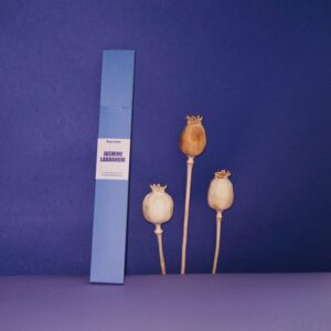 Kadzidełka Jasmine Labdanum