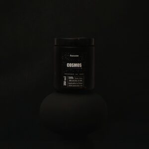 Kosmos